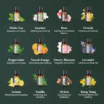 Perfect for Diffusers – 12 Natural Essential Oils Set with Gift Box & Bag | Lavender, Vanilla, Rose, Peppermint & More | Ideal for Aromatherapy, Relaxation & Home Use - Image 5