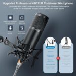 Podcast Equipment Bundle,Audio Interface and XLR Condenser Microphone, Studio Equipment with 48V Phantom Power, Bluetooth for Podcast, Streaming, Voice Over, Singing, PC, Smartphone - Image 3