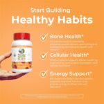 MaryRuth Organics's Vitamin D3 B12 Gummies | USDA Organic | 2 Month Supply | Vitamin D & B12 Vitamin Supplements for Adults & Kids | Bone Health | Healthy Energy Levels | Non-GMO | 60 Servings - Image 6