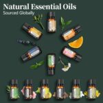 Perfect for Diffusers – 12 Natural Essential Oils Set with Gift Box & Bag | Lavender, Vanilla, Rose, Peppermint & More | Ideal for Aromatherapy, Relaxation & Home Use - Image 3