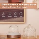 200ml Glass Reservoir Essential Oil Diffuser with Glass Dome Ultrasonic Aromatherapy Diffuser with Four Timer Colorful Light Auto-Off for Gift Home Office Bedroom - Image 3