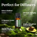 Perfect for Diffusers – 12 Natural Essential Oils Set with Gift Box & Bag | Lavender, Vanilla, Rose, Peppermint & More | Ideal for Aromatherapy, Relaxation & Home Use - Image 4