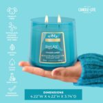 Candle-Lite Vibes Fougere Amber Mood-Enhancing Scented Candles, 15 oz Jar, Aromatherapy, Proudly Poured in The USA, 2-Wick, 86 Hours Burn Time, Perfect Relaxation Gift - Image 4