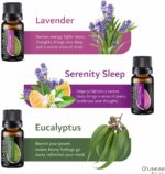 Essential Oils Set - 4 Oils & 2 Blends, Top 6 Oils for Diffusers for Home, Relief, Serenity Dream Oil Blend Aromatherapy, Peppermint, Orange, Lavender, Eucalyptus Essential Oils - Image 4