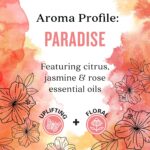 Aura Cacia Island Retreat Essential Oil Kit - Light Aroma, No Synthetic Fragrances - Image 7