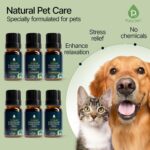 PURSONIC Pet Friendly Aromatherapy Essential Oils Collection, 6-Count - Safe for Dogs and Cats, Natural Relaxation and Stress Relief - Image 3