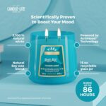 Candle-Lite Vibes Fougere Amber Mood-Enhancing Scented Candles, 15 oz Jar, Aromatherapy, Proudly Poured in The USA, 2-Wick, 86 Hours Burn Time, Perfect Relaxation Gift - Image 3