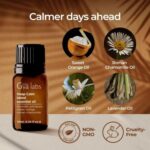 Gya Labs Deep Calm Essential Oil Blend for Relaxation & Emotional Balance - 0.34 fl oz - Calm Aromatherapy Oils for Diffusers, Humidifiers, Aromatherapy - Suitable for Work, Home or Personal Use - Image 4