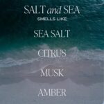 Sweet Water Decor Salt & Sea Reed Diffuser Set - Sea Salt Citrus & Musk Amber Scent Diffuser - Reed Diffusers for Home with Long Lasting Fragrance - Non-Toxic Oil Reed Diffuser - Made in the USA - Image 3