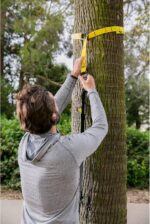 TRX GO Suspension Trainer, At Home, Portable Gym Workout, For Strength Training, Full Body Exercise Equipment - Image 3