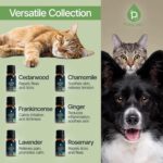 PURSONIC Pet Friendly Aromatherapy Essential Oils Collection, 6-Count - Safe for Dogs and Cats, Natural Relaxation and Stress Relief - Image 4