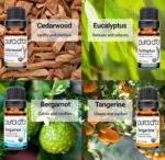 PURA D'OR Organic Sweet16 Essential Oils Set - 16x 10mL Wood Box Aromatherapy Gift Set - 100% Pure Therapeutic Grade for Relaxation and Wellness (Lavender, Rosemary, Turmeric, Ylang Ylang & More) - Image 6