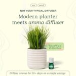 Lifelines Plant Diffuser with Modern Planter, Grass - Rechargeable Aromatherapy Diffuser, Artificial Faux Plants Home & Office - ClickWick Essential Oil Blend Included - Image 3