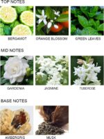UCC Reed Diffuser Set, 3.38 oz Gardenia in Blossom Premium Scented Diffuser with Flower Sticks Home Fragrance Reed Diffuser for Bathroom Shelf Decor - Image 4