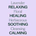 Plant Therapy Organic Lavender Essential Oil 100% Pure, USDA Certified Organic, Undiluted, Natural Aromatherapy, Therapeutic Grade 10 mL (1/3 oz) - Image 5