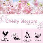Cherry Blossom Essential Oil 120ml (4 Fl Oz), SALKING Pure & Natural Fragrance Oils, Aromatherapy Essential Oils for Diffuser, Massage, Soap, Candle Making, Perfume - Image 3