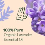 Plant Therapy Organic Lavender Essential Oil 100% Pure, USDA Certified Organic, Undiluted, Natural Aromatherapy, Therapeutic Grade 10 mL (1/3 oz) - Image 6
