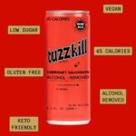 Buzzkill Wines - Non-Alcoholic Cabernet Sauvignon | Dealcoholized California Dry Red Wine, Gluten-Free, Alcohol-Free, Low Sugar, 45 Calories, Pack of 4, (8.4 fl. oz. each can) 33.8 FL Oz - Image 5