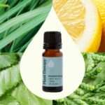 Plant Therapy Deodorizing Essential Oil Blend 10 mL (1/3 oz) 100% Pure, Undiluted, Therapeutic Grade - Image 4
