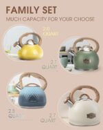 Tea Kettle Stovetop Teapot, 2.5 Quart Loud Whistle Food Grade Stainless Steel and Smooth Wood Pattern Handle, Sophisticated Look for Hiking, Picnic, for Tea, Coffee Milky White - Image 8