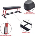 Sunny Health & Fitness Weight Bench for Heavy Duty Workouts, Exercise, Strength Training, Lifting and Home Gyms - Image 3