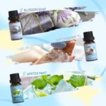 SALUBRITO Clean Fragrance Oils Set, Premium Essential Oils Set for Diffuser, Candle, Soap Making, Fresh Cotton, Clean Home, Fresh Linen, Soft Powder, Blossom Soap, Mint, Strong Scented Oils - Image 5
