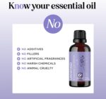 Unwind Aromatherapy Essential Oil Blend - Calming Essential Oils for Diffusers for Home Travel and Baths with Invigorating Pure Bergamot Patchouli and Citrus Essential Oils for Stress Support - Image 8
