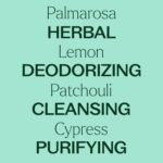 Plant Therapy Deodorizing Essential Oil Blend 10 mL (1/3 oz) 100% Pure, Undiluted, Therapeutic Grade - Image 5