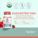 MaryRuth Organics Toddler Multivitamin Gummies + Postbiotics | USDA Organic | Vitamins for Kids Ages 2+ | Immune Support | Vitamin C | Vitamin D3 | Vitamin A | Zinc | Vegan | Non-GMO | 60 Servings - Image 4