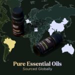 Essential Oils Set - 16 Pcs Premium Grade Home Essentials Oils - for Diffusers, Fragrance, Scents for Candle Making - Natural Aromatherapy Oils for Cars & Home Products, Room Sprays - Image 4