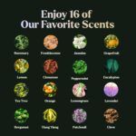 Essential Oils Set - 16 Pcs Premium Grade Home Essentials Oils - for Diffusers, Fragrance, Scents for Candle Making - Natural Aromatherapy Oils for Cars & Home Products, Room Sprays - Image 9