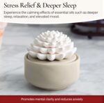 Airomé White Succulent, Porcelain Passive Essential Oil Diffuser (with 15ml Peppermint Essential Oil) – Non-Electric, Battery-Free, Improves Sleep, and Relieves Stress - Image 5