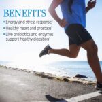 Garden of Life Vitamin Code Raw One for Men, Once Daily Multivitamin, 75 Capsules, One a Day Mens Vitamins Plus Fruit, Veggies & Probiotics for Mens Health, Vegetarian Multivitamins - Image 3