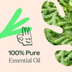 Plant Therapy Deodorizing Essential Oil Blend 10 mL (1/3 oz) 100% Pure, Undiluted, Therapeutic Grade - Image 6