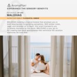 AromaPlan Hotel Scents ABU Dhabi 5 Fl Oz (148ml), Home Luxury Aroma & Hotel Fragrance Diffuser Oil- Hotel Diffuser Oil for Aromatherapy- USA Made, Bigger Bottle, Bolder Aroma & Longer Lasting - Image 6