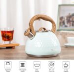 Tea Kettle, Toptier Teapot Whistling Kettle with Wood Pattern Handle Loud Whistle, Food Grade Stainless Steel Tea Pot for Stovetops Induction Diamond Design Water Kettle, 2.7-Quart Light Green - Image 6