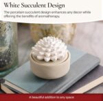 Airomé White Succulent, Porcelain Passive Essential Oil Diffuser (with 15ml Peppermint Essential Oil) – Non-Electric, Battery-Free, Improves Sleep, and Relieves Stress - Image 8