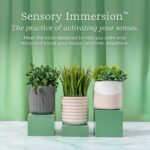 Lifelines Plant Diffuser with Modern Planter, Grass - Rechargeable Aromatherapy Diffuser, Artificial Faux Plants Home & Office - ClickWick Essential Oil Blend Included - Image 7