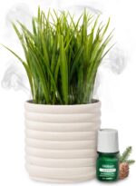 Lifelines Plant Diffuser with Modern Planter, Grass - Rechargeable Aromatherapy Diffuser, Artificial Faux Plants Home & Office - ClickWick Essential Oil Blend Included - Image 2
