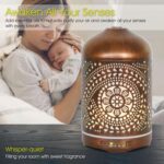 Earnest Living Essential Oil Diffuser Metal Diffuser 250 ml Timers Night Lights and Auto Off Function Home Office Humidifier Aromatherapy Diffusers for Essential Oils Gift - Image 4