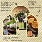 Waterless Rechargeable Scent Diffuser – Hotel Collection Diffuser Set with 6 Hotel Essential Oils – Two Intensity Modes – Home & Office Fragrance Machine - Image 4