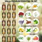 Essential Oils Set - Top 15 Scents for Diffuser, Humidifier, Home Care, Aromatherapy, Massage, Candle & Soap Making - Nice Gift for Family & Friends - Image 3