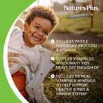NaturesPlus Animal Parade Children's Chewable Multivitamin - 180 Animal-Shaped Tablets - Natural Assorted Flavors - Vegetarian, Gluten Free - 90 Servings - Image 5