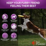 Dog Multivitamin Chewable with Glucosamine - Dog Vitamins and Supplements - Senior & Puppy Multivitamin for Dogs - Pet Joint Support Health - Immunity - Mobility - Energy - Gut - Skin - 120 Chews - Image 5
