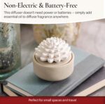 Airomé White Succulent, Porcelain Passive Essential Oil Diffuser (with 15ml Peppermint Essential Oil) – Non-Electric, Battery-Free, Improves Sleep, and Relieves Stress - Image 3