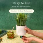 Lifelines Plant Diffuser with Modern Planter, Grass - Rechargeable Aromatherapy Diffuser, Artificial Faux Plants Home & Office - ClickWick Essential Oil Blend Included - Image 4