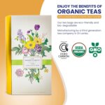 Premium Organic Tea Bag 80 Pack Sampler Designer Tin Book Gift Set 10 Per Flavor Assorted Variety Exotic Fruit Herbal Black And Green Teas Individually Wrapped (8 Flavors) - Image 3