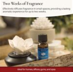 Airomé White Succulent, Porcelain Passive Essential Oil Diffuser (with 15ml Peppermint Essential Oil) – Non-Electric, Battery-Free, Improves Sleep, and Relieves Stress - Image 7