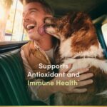 Nature’s Bounty Vitamin C 1000mg, Immune Support Supplement, Powerful Antioxidant, 1 Pack, 100 Caplets - Image 3