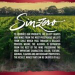 SINZERO Cabernet Sauvignon – Premium Non-Alcoholic Red Wine – Dealcoholized Cabernet Sauvignon – Aged in French Oak for a Smooth, Rich Flavor – Low Calories, Vegan Friendly – 750ml (25.4 Fl Oz) – Made in Chile - Image 7
